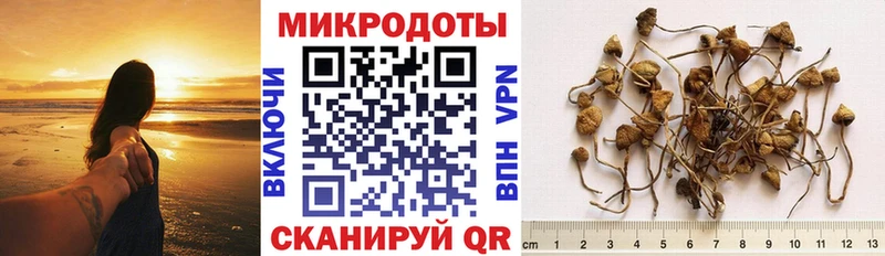 Галлюциногенные грибы ЛСД  kraken зеркало  Зубцов 